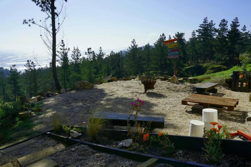 Tinyhouse Boyeruca Lodge. Maravillosas Vistas De Bosque, Mar Y Cielo *