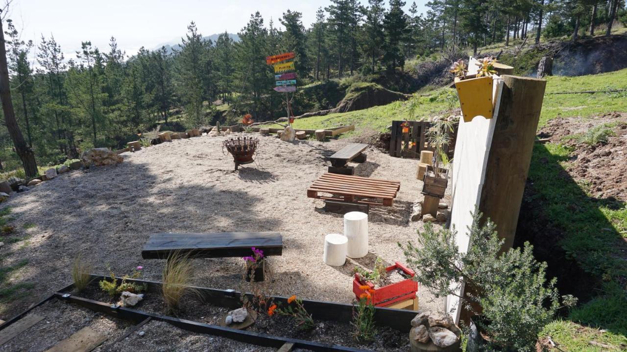 Tinyhouse Boyeruca Lodge. Maravillosas Vistas De Bosque, Mar Y Cielo *
