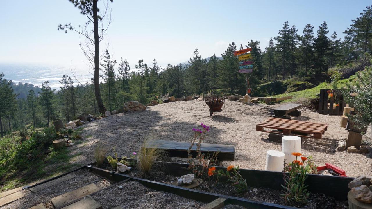 Tinyhouse Boyeruca Lodge. Maravillosas Vistas De Bosque, Mar Y Cielo Casa de férias Vichuquén